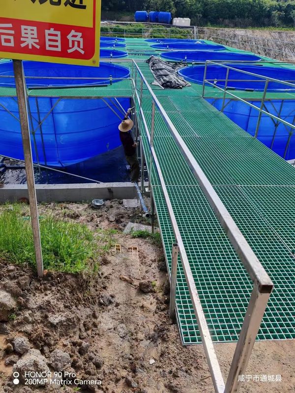 Balık Çiftliği FRP ızgara yürüyüş yolu veya platform boyut ve renk için özelleştirilebilir